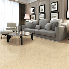 索芙特RMP1605/RMP1805/RMP6905